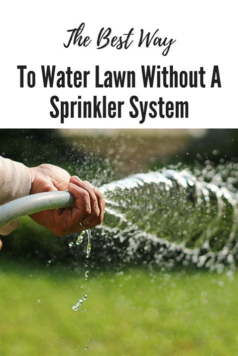 The Best Way To Water Lawn Without A Sprinkler System Sprinkler