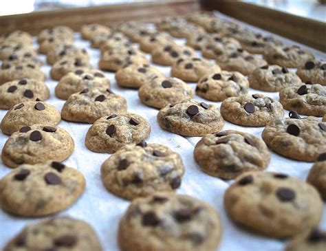 Easy Mini Chocolate Chip Cookies By Life Is But A Dish