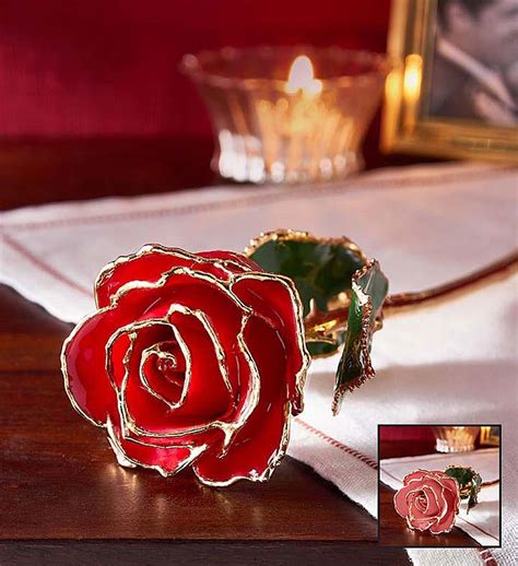Gold Plated Rose Order Prices Save 49 Jlcatjgobmx