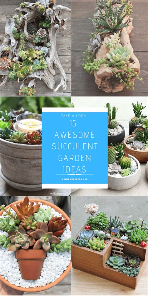15 Awesome Succulent Garden Ideas For Uniqueness In Your Garden David
