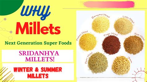 All About Millets Their Types And Benefitssridhanya Millets Youtube