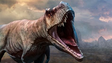 The Largest T Rex Discovered Is Nearly 70 Larger Than Previously Believed