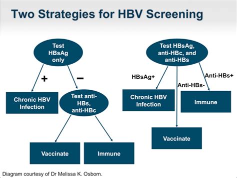 Best Practices In Hbv Screening And Linkage To Care The Hivhbv