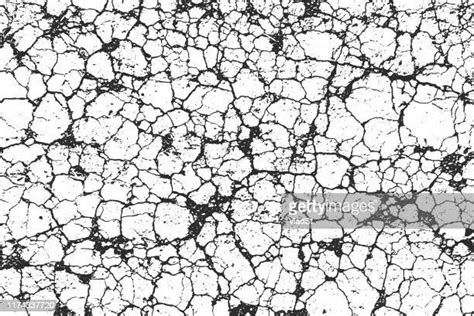 Black And White Cracked Earth Photos And Premium High Res Pictures