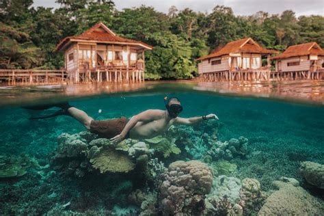Dont Dive Snorkeling Raja Ampat Is Incredible Too Papua Paradise