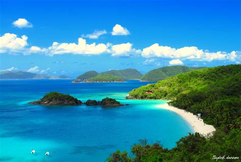 discover the beauty of trunk bay beach
