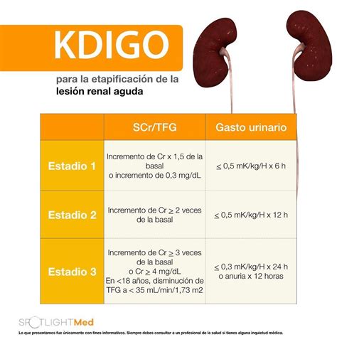 Pdf | the 2012 kidney disease: KDIGO 🥔 #SpotlightMed #Spotlight #Spotlightmedicine ...