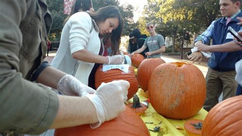 Different Strokes Students Find Unique Ways To Celebrate Halloween