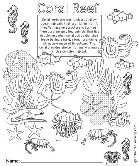 Free Printable Coral Reef Worksheets
