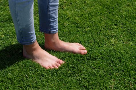 Standing Barefoot In Green Grass Free Stock Photo Public Domain Pictures