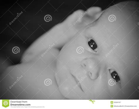 Close Up Of Newborn Infant Stock Image Image Of Caucasian 35584167