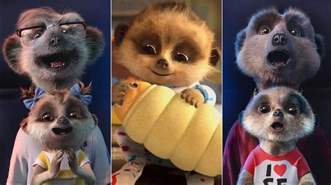 Funny Meerkat Pups Oleg And Ayana Compare The Market Commercials Youtube