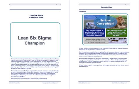 Lean Six Sigma Champion E Book Isixsigma