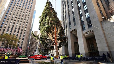 2020 Rockefeller Center Christmas Tree Goes Up