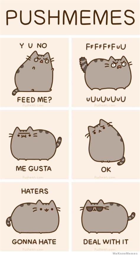 Cat Is Displeased Pusheen Know Your Meme Funny Profile Pictures Hot