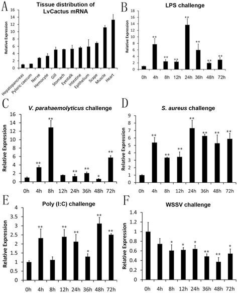 Real Time Rt Pcr Was Performed In Triplicate For Each Sample Download Scientific Diagram