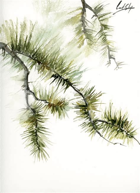 Pine Tree Branches Original Watercolor Painting Modern Minimalist