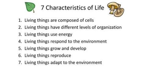What Are The 7 Characteristics Of Life Slide Share