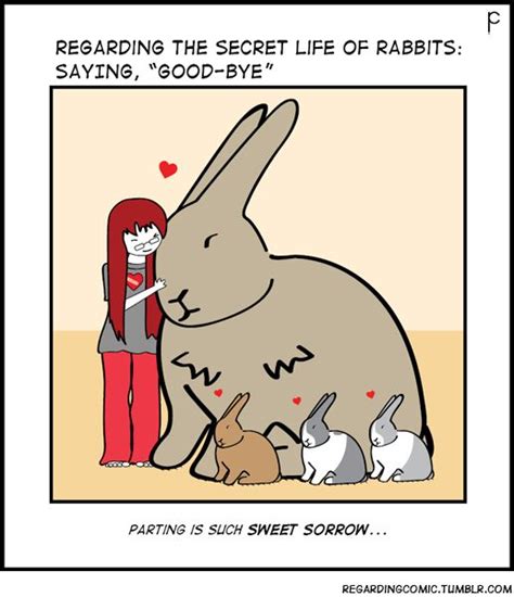 regarding the secret life of rabbits secret life of rabbits bunny paws story drawing