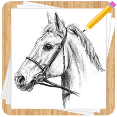 Olovkom Slike Konja Za Crtanje