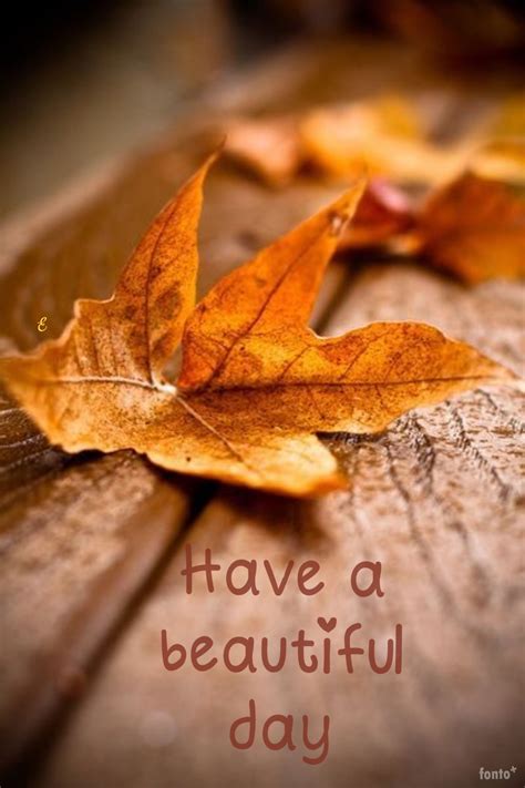 Have A Beautiful Day Autumn Scenes Autumn Leaves Autumn