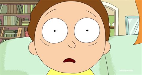Morty Is Mixed Just Like Me And Thats Complicated