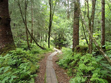 Elfin Cove And Juneau Alaska Easy Hiking Trails Perfect Little Planet