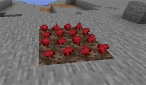 What Is Nether Wart In Minecraft Everything We Know