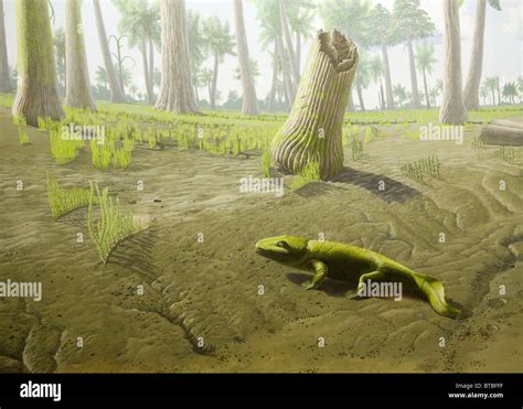 Prehistoric Amphibian Hi Res Stock Photography And Images Alamy