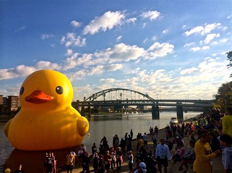 Giant Rubber Duck S American Debut Goes Swimmingly WIRED