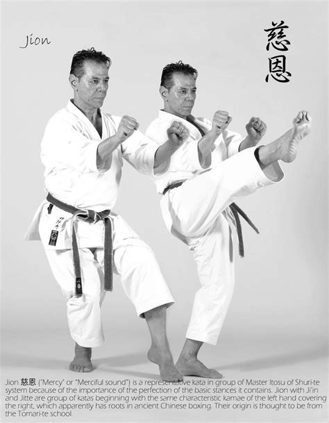 Pin By Dave Wolfe On Shito Ryu Karate Karate Martial Arts Karate