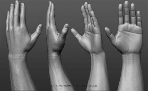 Wanted To Sculpt Some Hands Just For Practice This Model Is Final