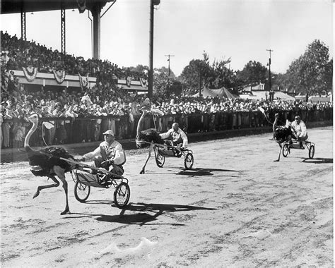 Strip Teases Ostriches And Jumping The Grandstand 8 Moments In Kentucky