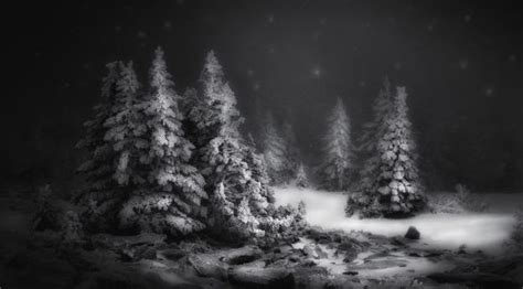 1450x550 Resolution Black And White Snow Winter Night 1450x550 Resolution