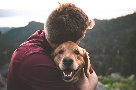 Why Petting A Dog Is Good For Your Mental Health By Chandrayan Gupta