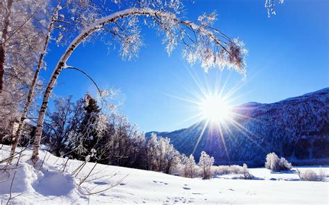 Daytime Winter Wallpapers Wallpaper Cave