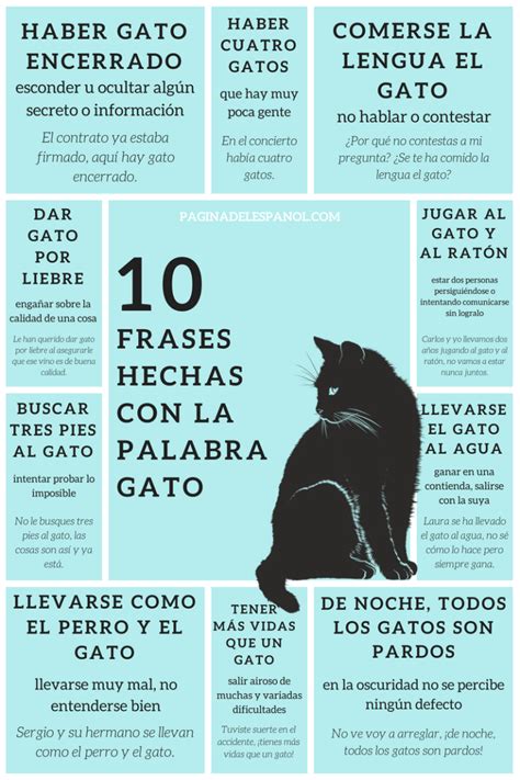 10 Frases Hechas Con La Palabra Gato La Página Del Español