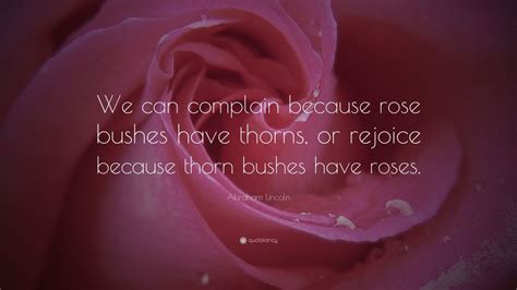 ~robert herrick (d.1674), the rose let the rose be neighbour with the thorn. Abraham Lincoln Quote: "We can complain because rose bushes have thorns, or rejoice because ...