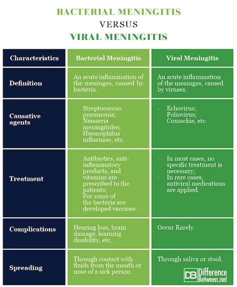 Difference Between Bacterial And Viral Meningitis Difference Between