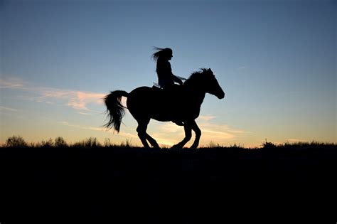 Five Beginner Horse Riding Mistakes To Avoid