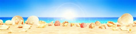 Premium Photo Landscape With Seashells On Tropical Beach Summer