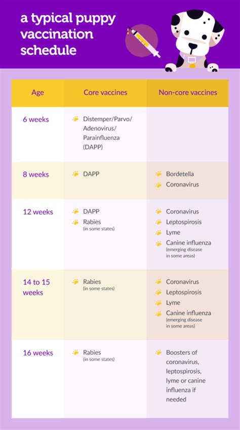 Printable Puppy Vaccination Chart Use The Chart Below To Keep Track Of