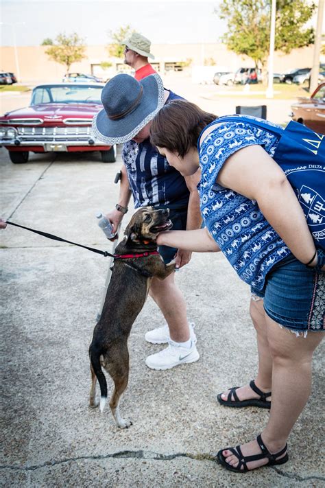 Sponsorship - Tupelo Lee Humane Society