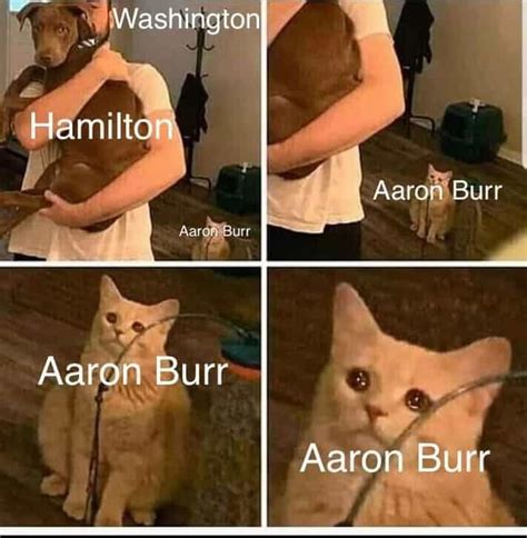 22 Aaron Burr Memes For Hamilton Fans Who Are Willing To Wait For It