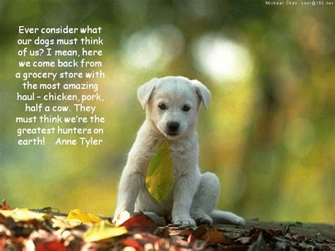 Maybe you would like to learn more about one of these? Must Love Dogs Quotes. QuotesGram