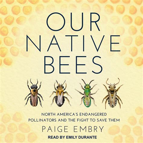 Our Native Bees Audiobook By Paige Embry — Download Now