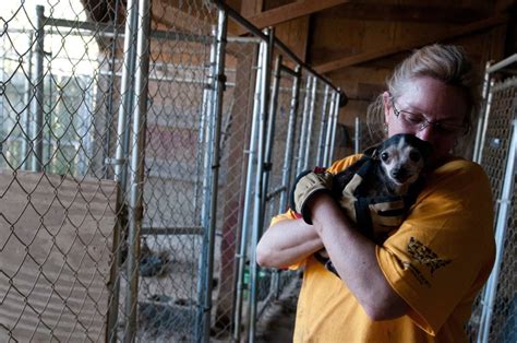 This picture was taken in ohio amish country. 16 States Named In 100 Worst Puppy Mill Breeders In the ...