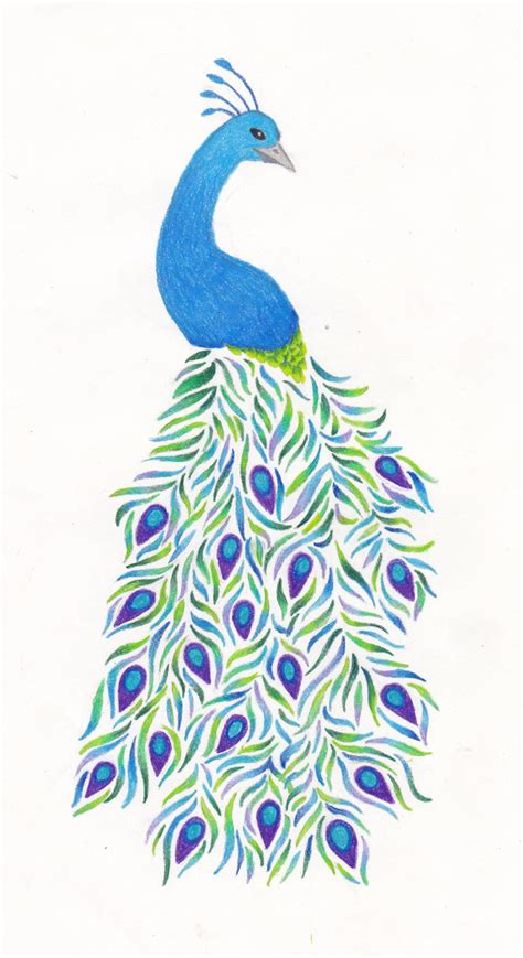 This tutorial shows the sketching and drawing steps from start to finish. Peacock Drawing at GetDrawings | Free download