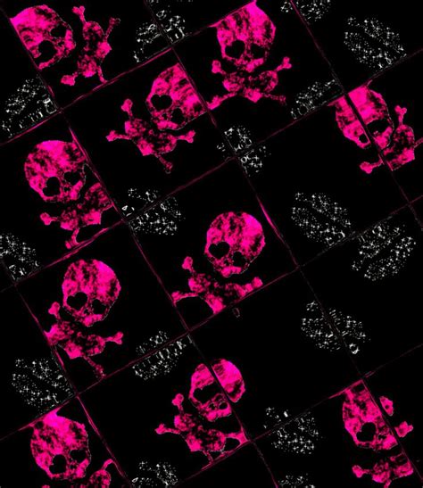 Pink Skulls Pink Skull Wallpaper Skull Wallpaper Sugar Skull Wallpaper