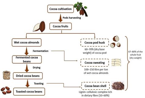 Antioxidants Free Full Text Cocoa Bean Shell A By Product With